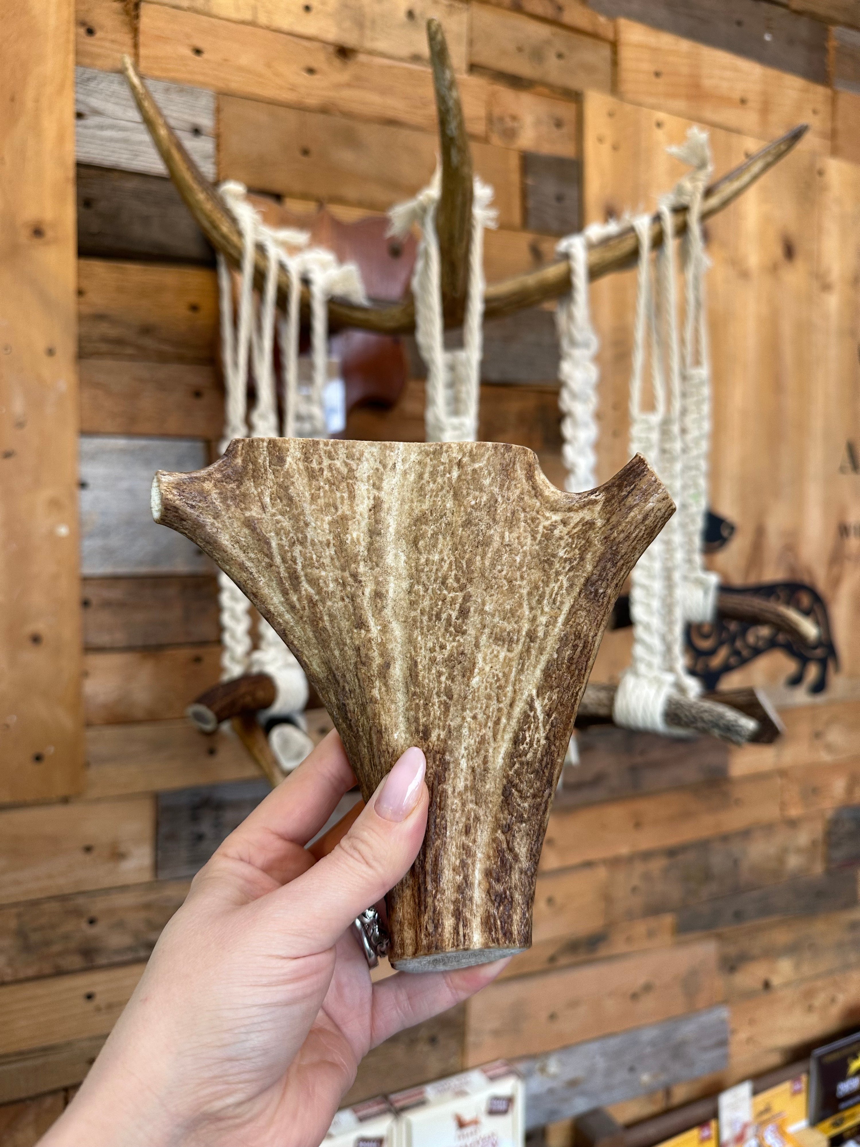 Fallow Antler Chew – 322g | 17cm (Sold as seen)