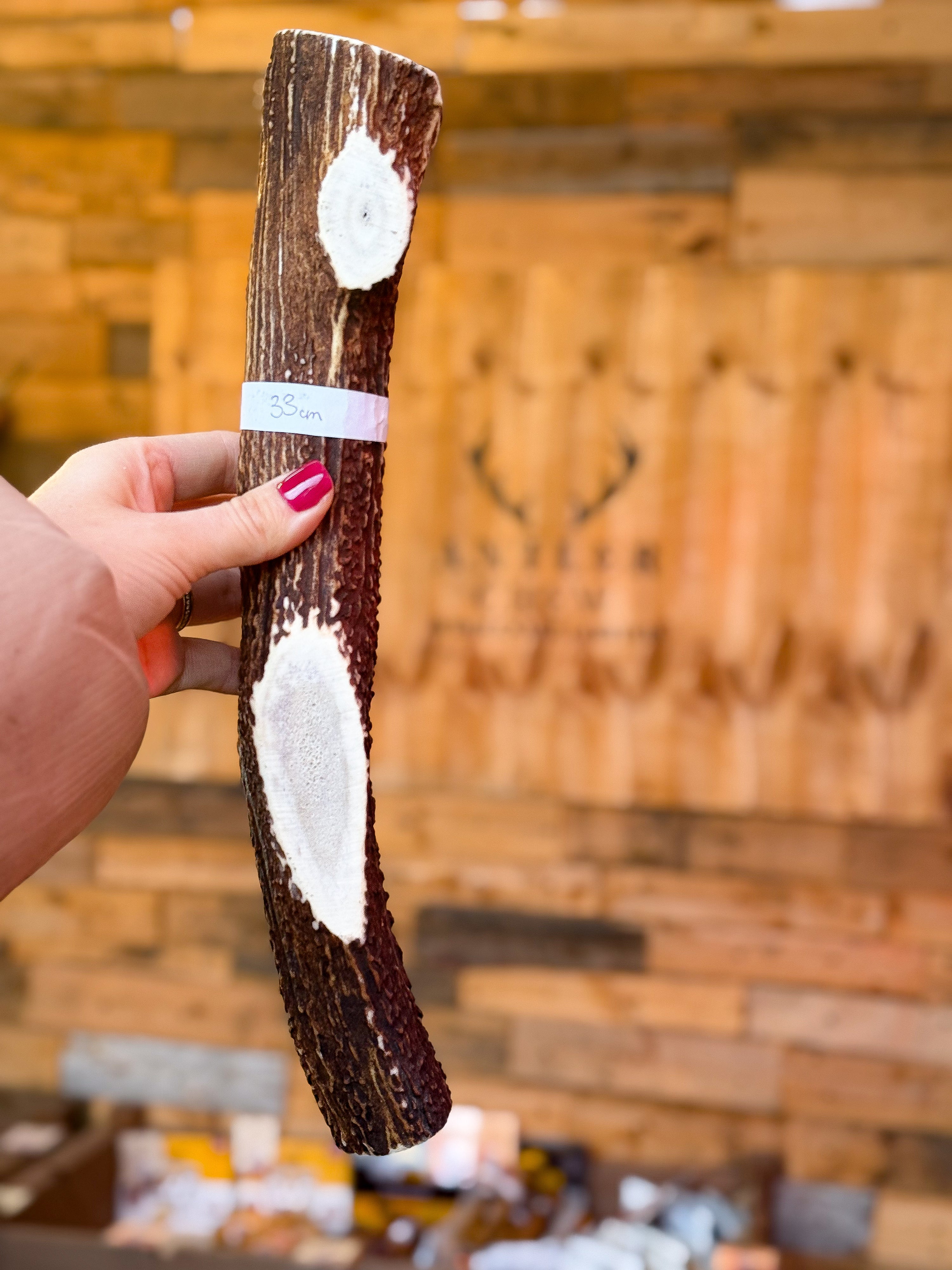 Heavy Power Chewer Piece-Antler Chew – 732g / 33cm