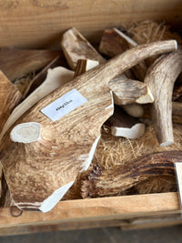   - Antler Chew 