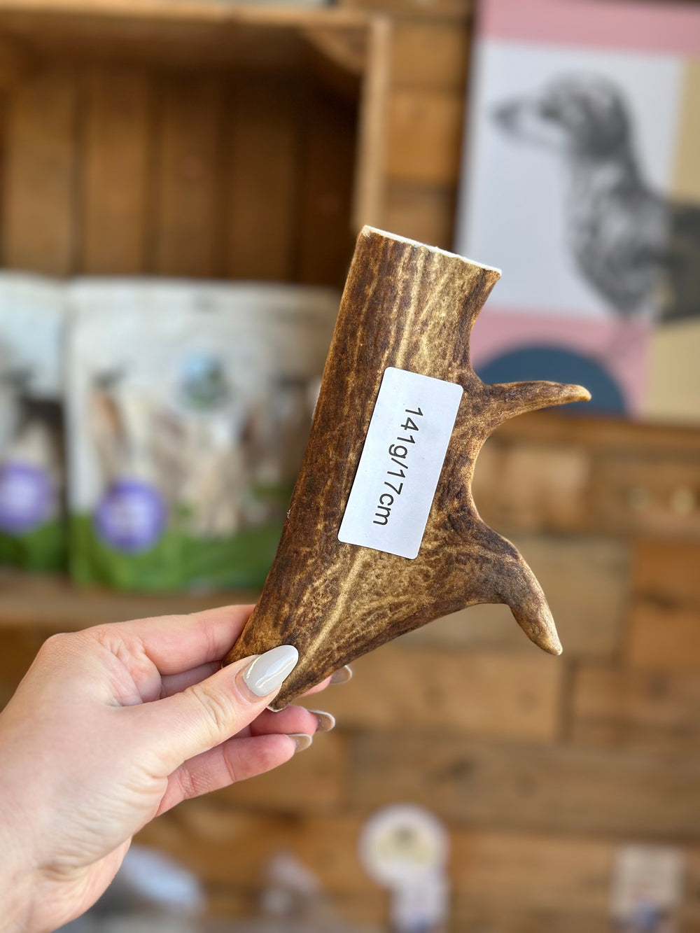   - Antler Chew 