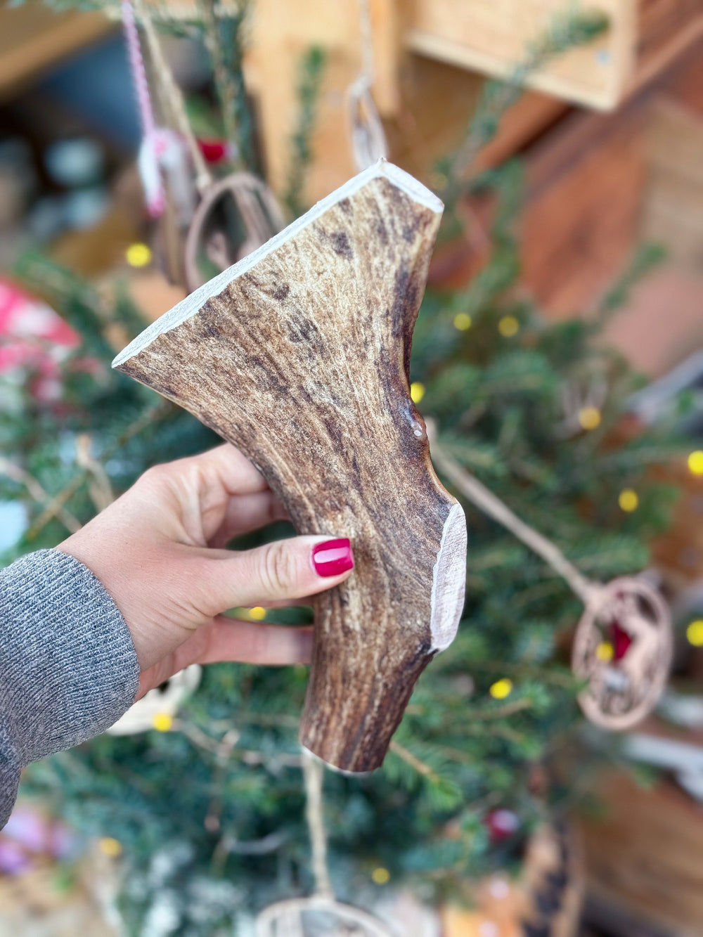 Fallow Deer Antler Chew | 346g / 24cm (Sold as Seen)