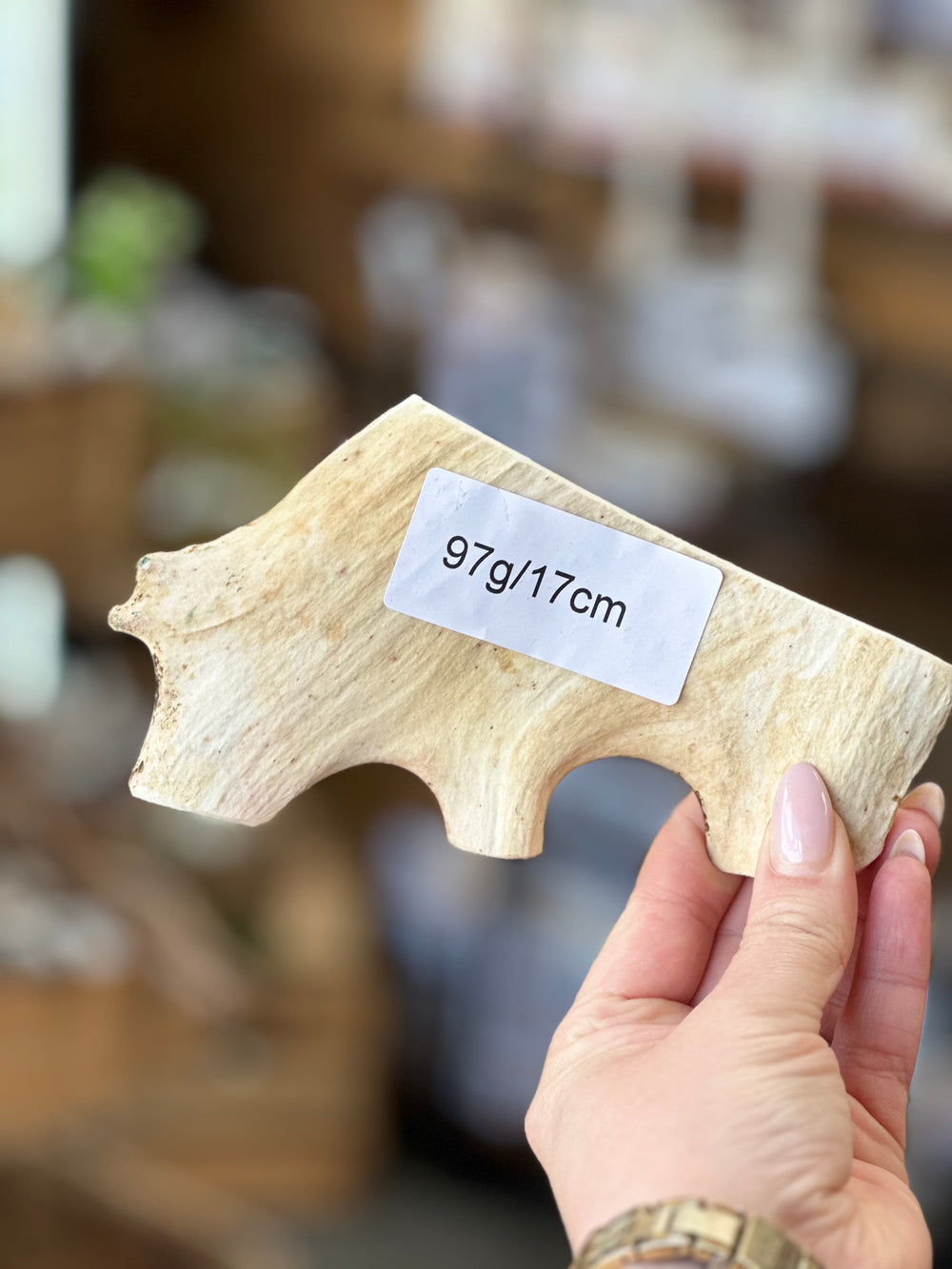   - Antler Chew 