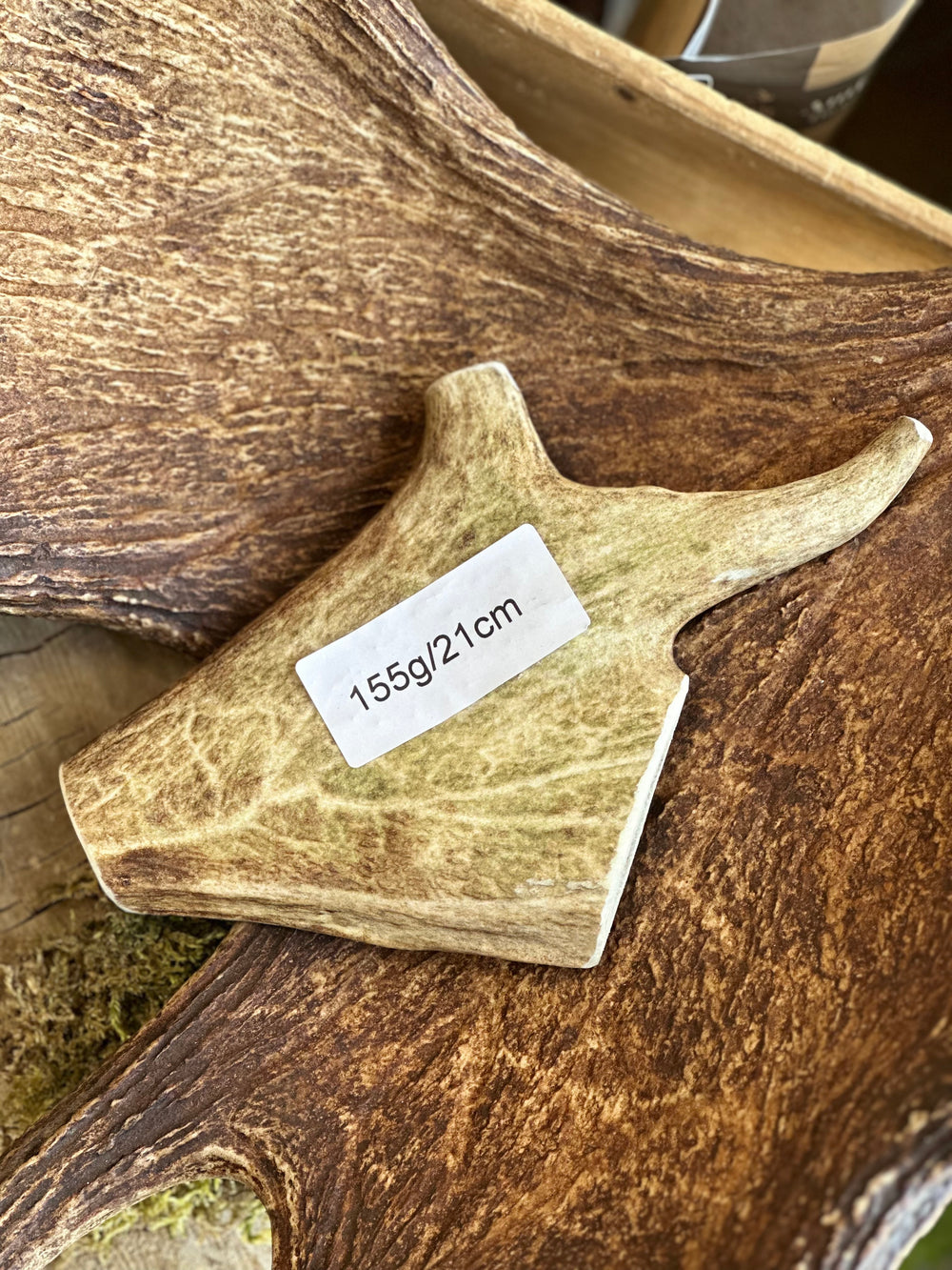   - Antler Chew 