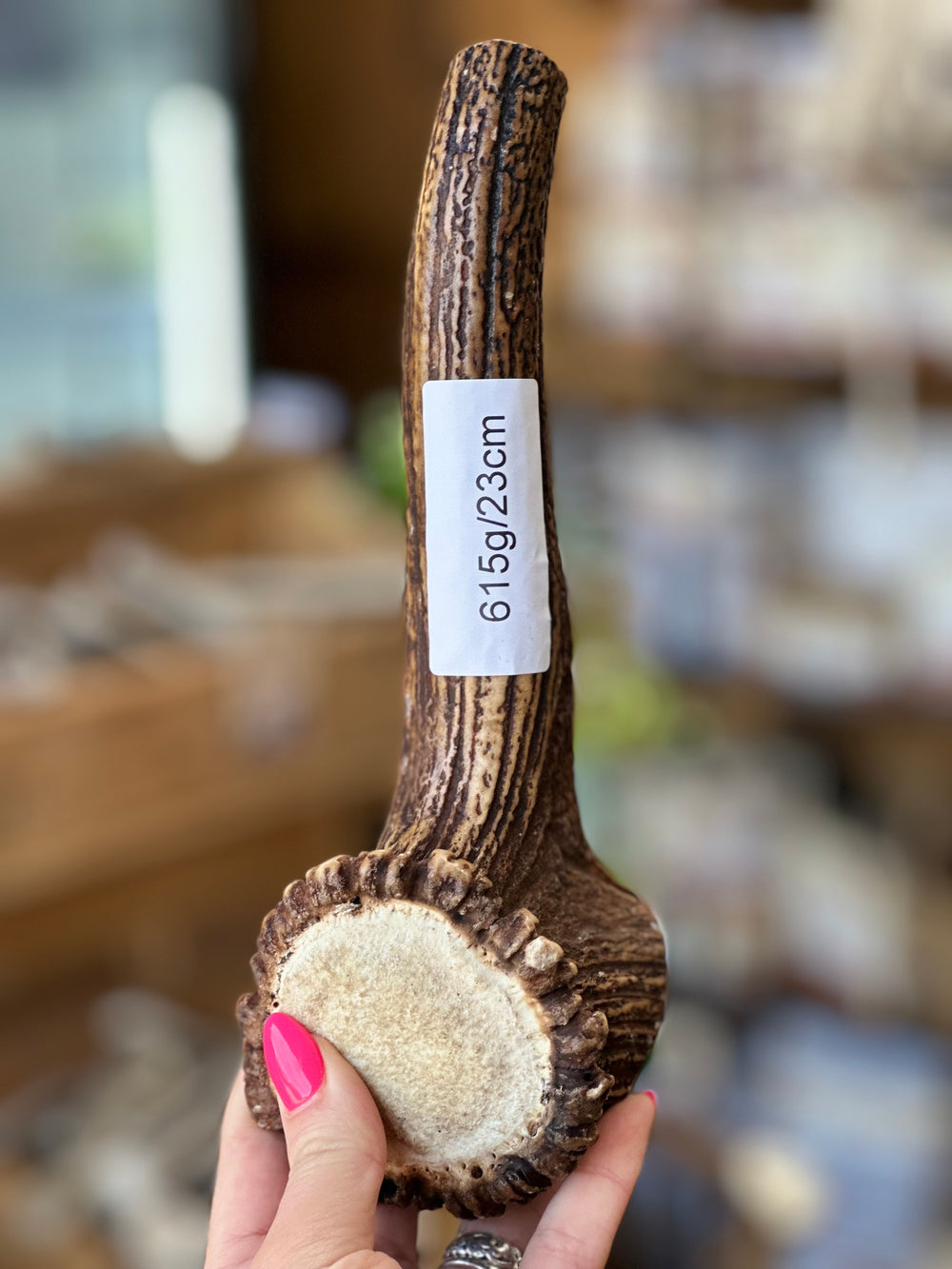   - Antler Chew 