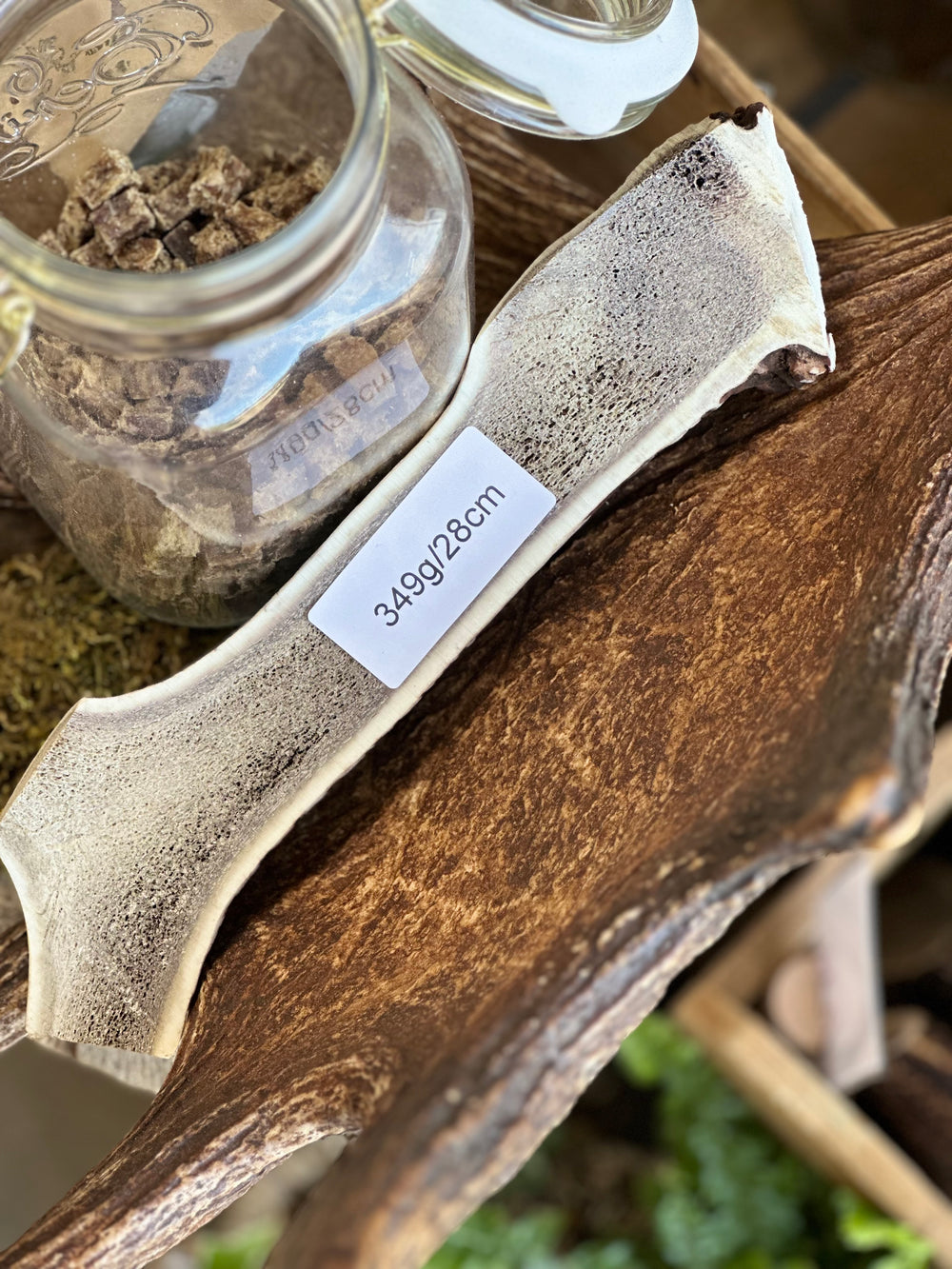   - Antler Chew 