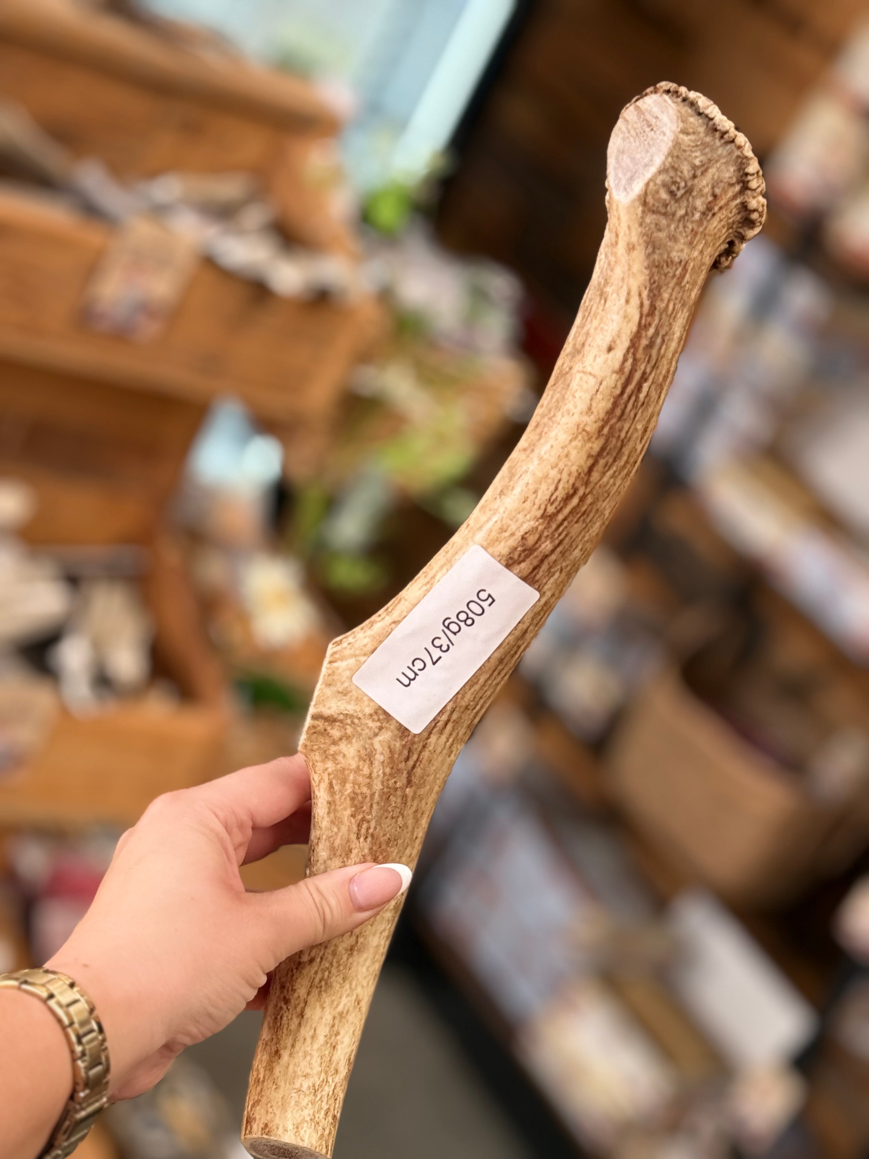 Red Deer Antler Dog Chew – 508g / 37cm – Sold As Seen