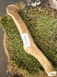 Antler Chew