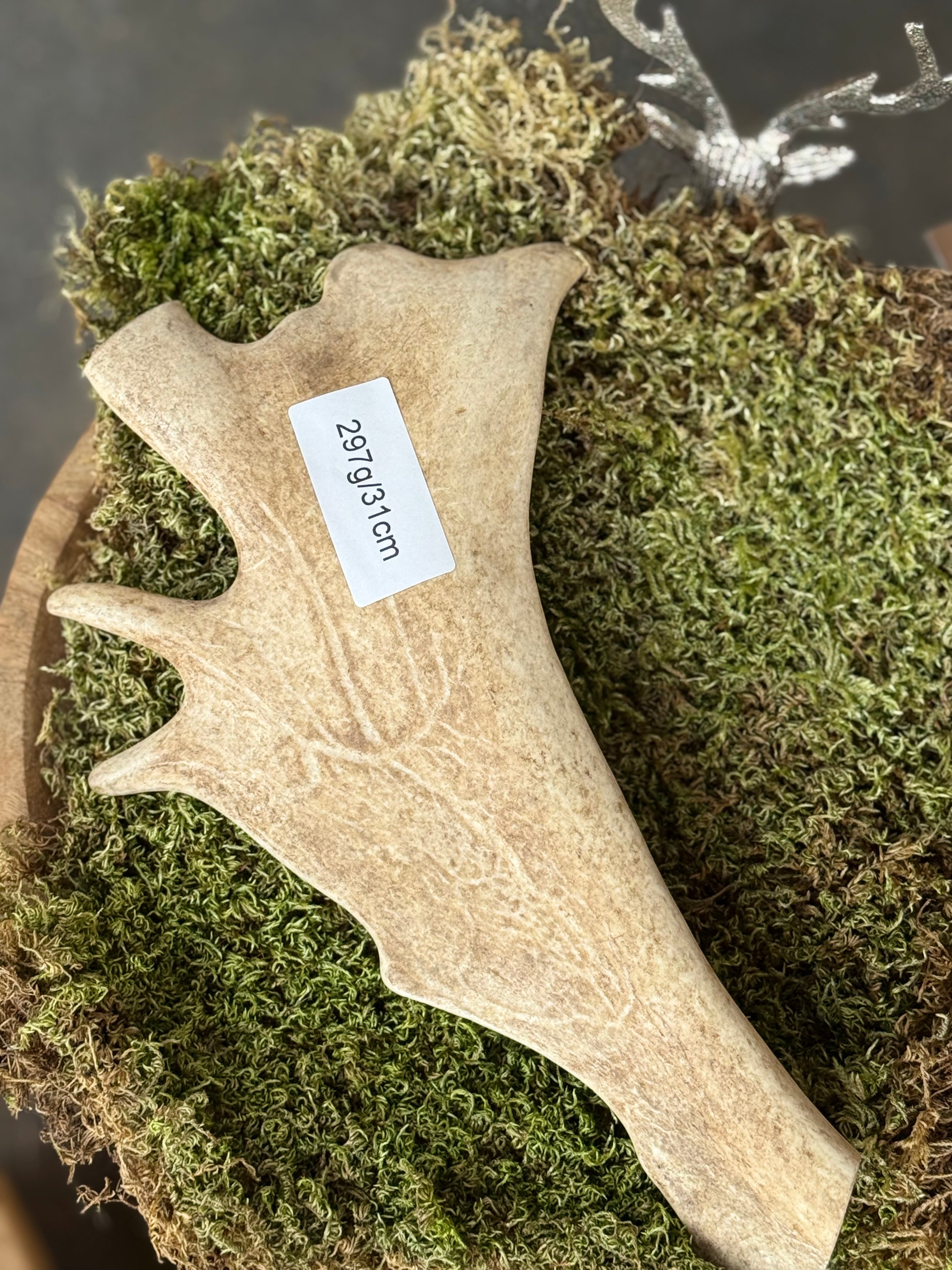 Fallow Deer Antler Dog Chew – 297g / 31cm – Sold As Seen