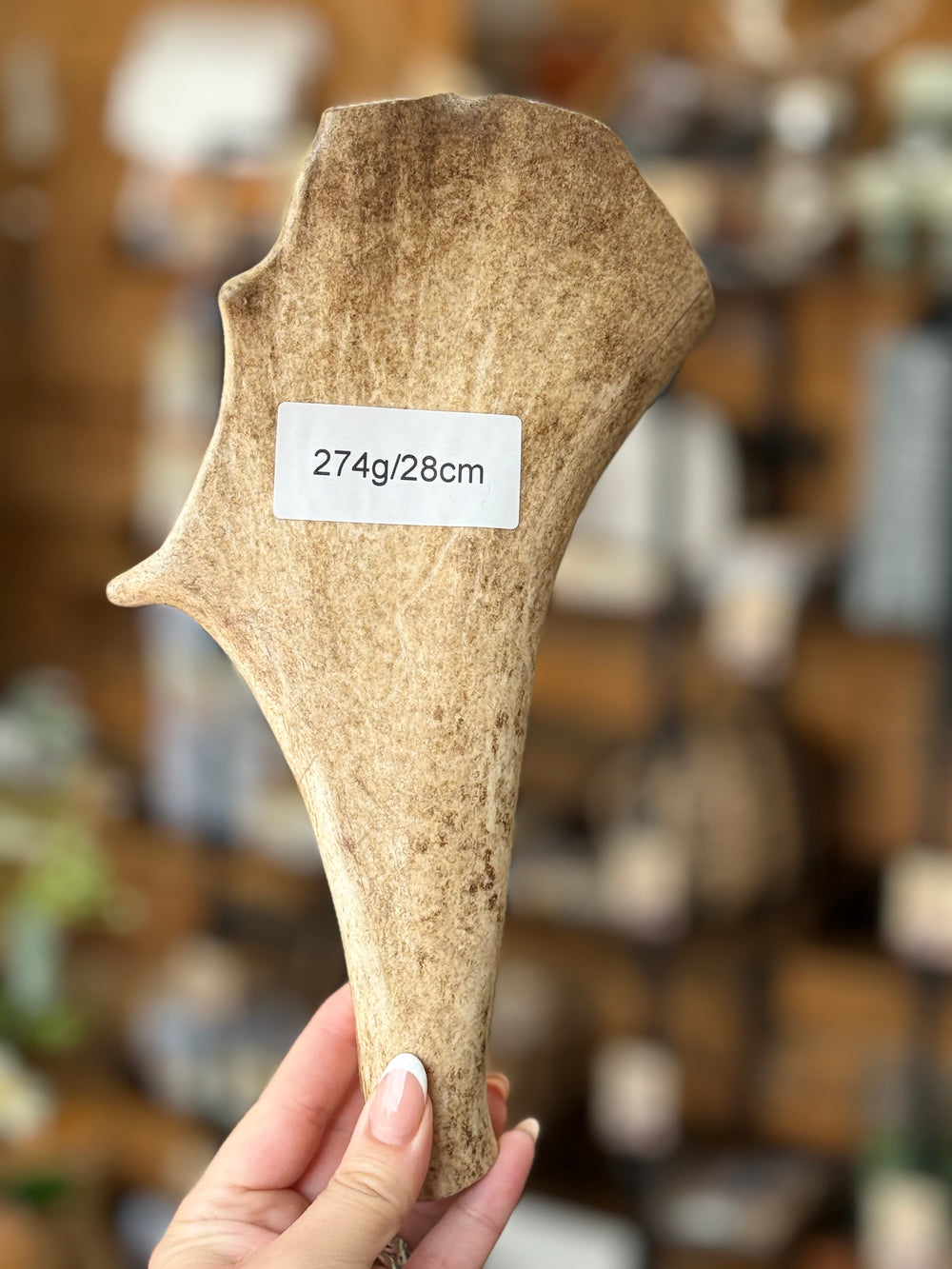 Fallow Deer Antler Dog Chew – 274g / 28cm – Sold As Seen