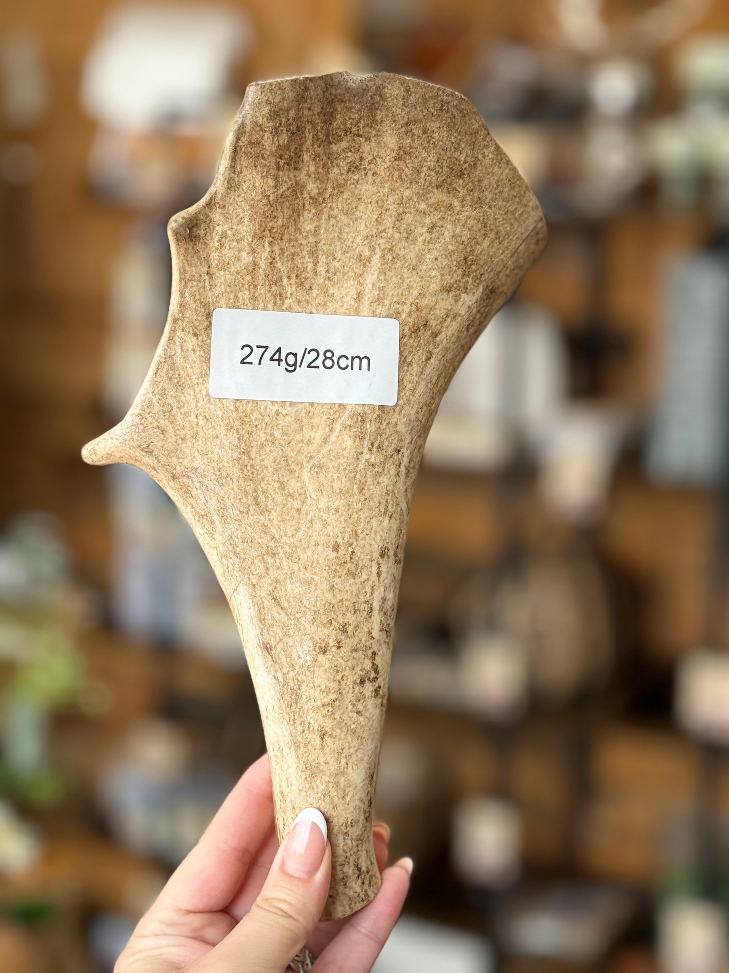 Fallow Deer Antler Dog Chew – 274g / 28cm – Sold As Seen