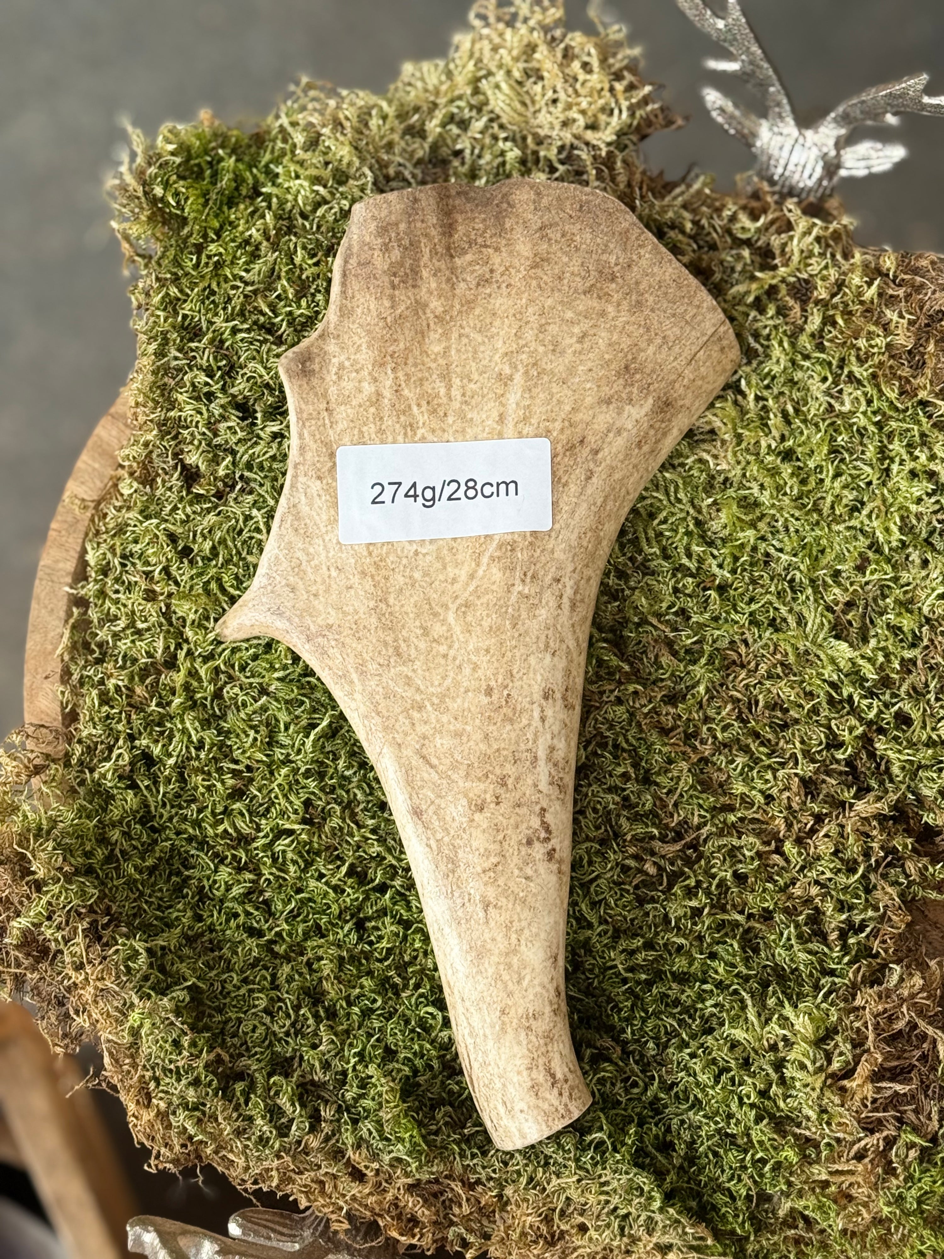 Fallow Deer Antler Dog Chew – 274g / 28cm – Sold As Seen