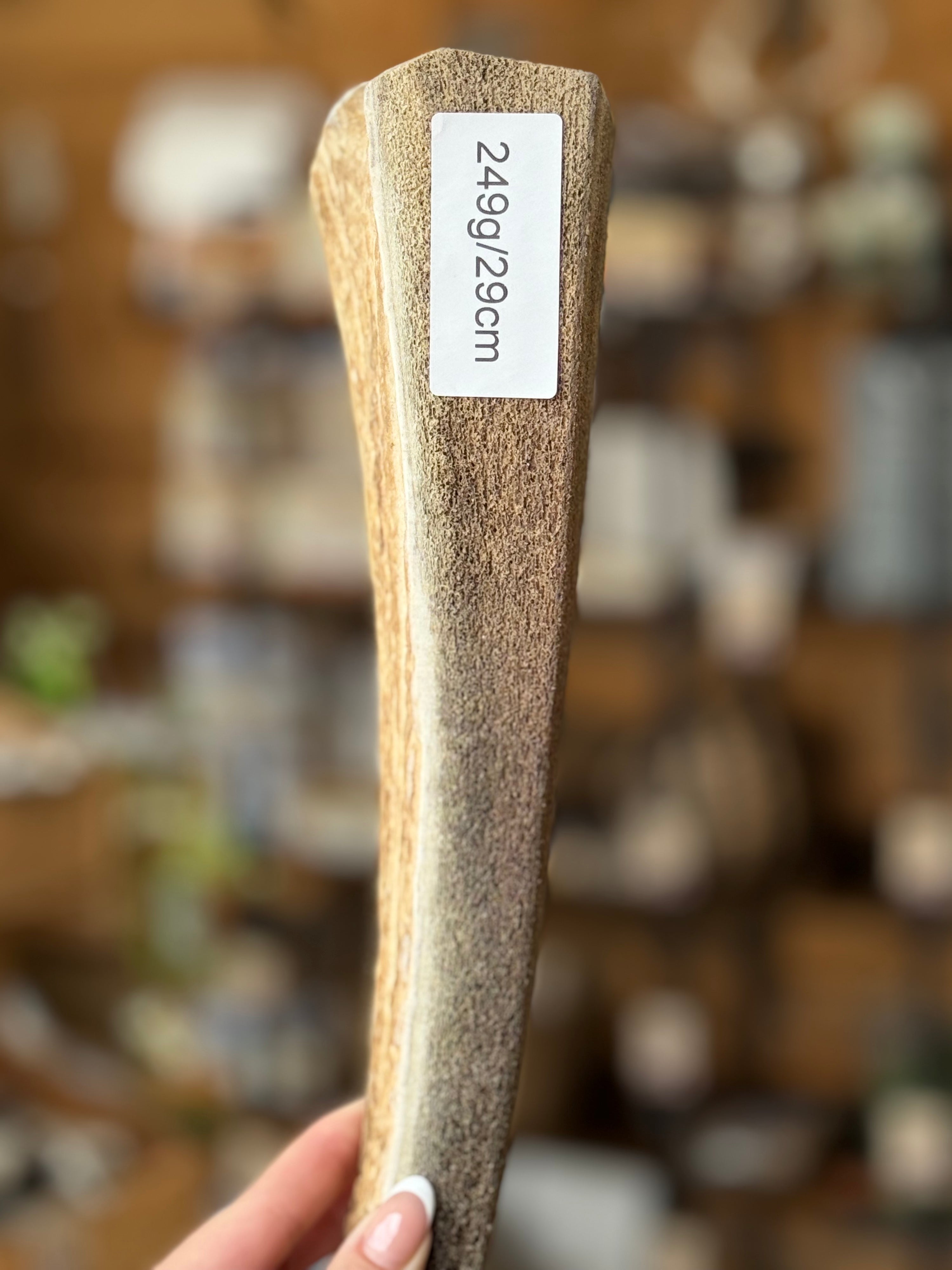 Very Marrowy Red Deer Lollipop Antler Dog Chew – 249g / 29cm – Sold As Seen