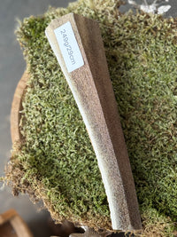 Antler Chew