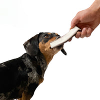 Natural Moose Dog Chews: Long-lasting, mineral-rich, Sustainable chews with harder marrow for lasting chewing sessions.  - Antler Chew 