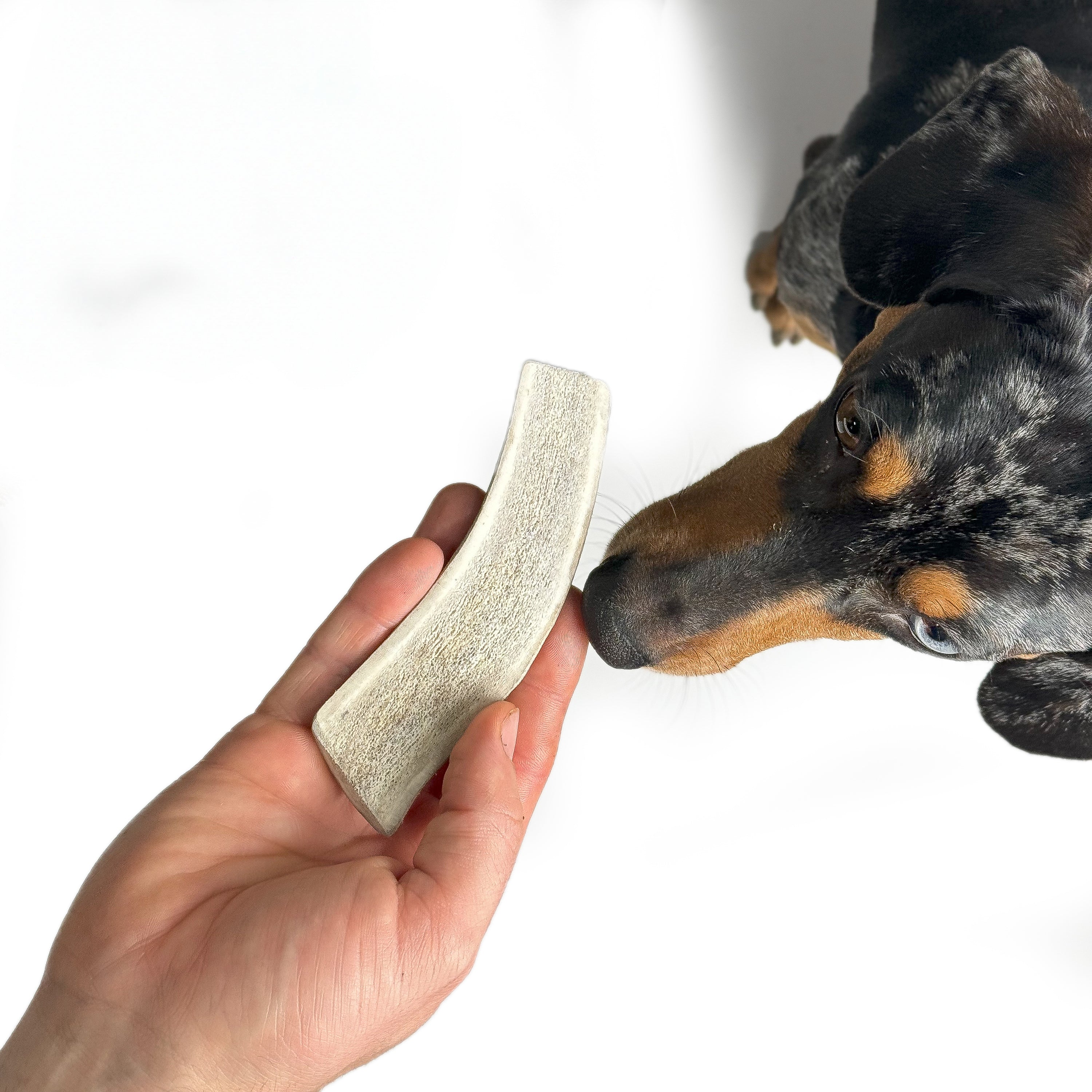Natural Red Deer Split Antlers provide entertainment for non-power chewers. Puppy friendly from 12 weeks. Full of minerals and protein.  - Antler Chew 