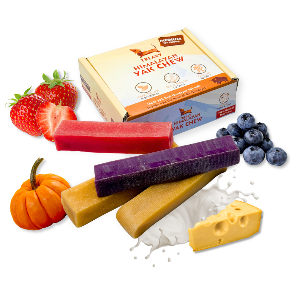 Natural Himalayan Yak Chew Box Bundle – All-Natural, Long-Lasting Dog Treat Keep your dog happy and engaged with the Treaby Himalayan Yak Chew Box. Save £££  - Antler Chew 