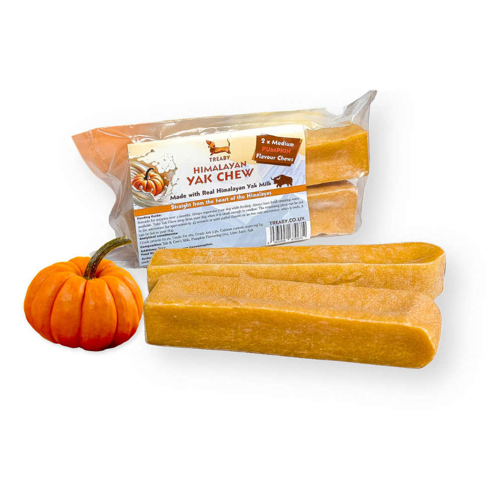 Treat your dog to TREABY's pumpkin-flavoured Yak Chew (Medium Size, 2-pack). Made with natural ingredients, these chews are perfect for puppies and adult dogs aged 14 weeks and older. Autumn flavour has arrived!  - Antler Chew 