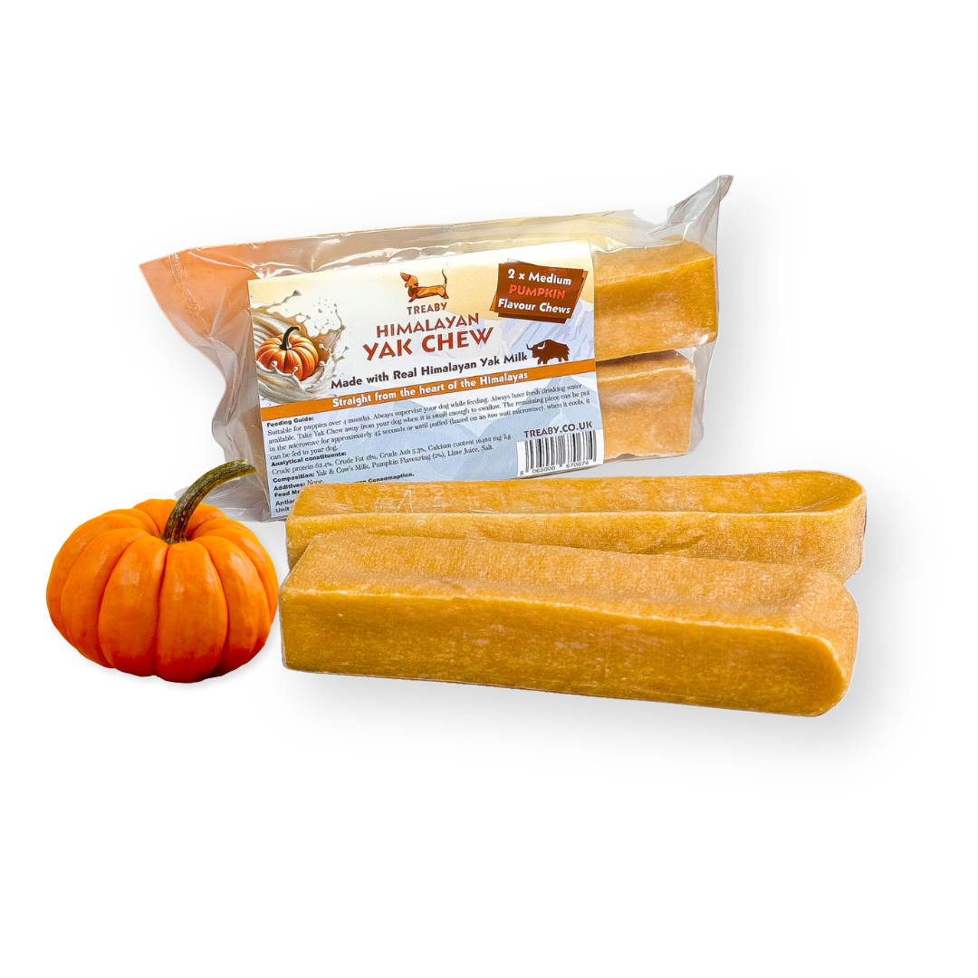 Treat your dog to TREABY's pumpkin-flavoured Yak Chew (Medium Size, 2-pack). Made with natural ingredients, these chews are perfect for puppies and adult dogs aged 14 weeks and older. Autumn flavour has arrived!  - Antler Chew 