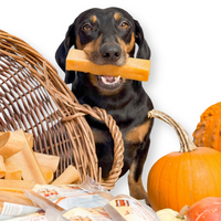Treat your dog to TREABY's pumpkin-flavoured Yak Chew (Medium Size, 2-pack). Made with natural ingredients, these chews are perfect for puppies and adult dogs aged 14 weeks and older. Autumn flavour has arrived!  - Antler Chew 