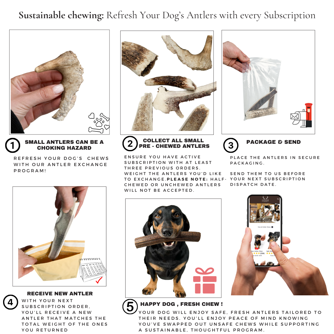 Natural Red Deer Split Antlers provide entertainment for non-power chewers. Puppy friendly from 12 weeks. Full of minerals and protein.  - Antler Chew 