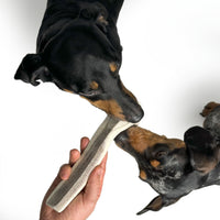 Natural Red Deer Split Antlers provide entertainment for non-power chewers. Puppy friendly from 12 weeks. Full of minerals and protein.  - Antler Chew 