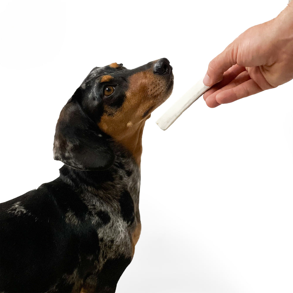 Natural Moose Dog Chews: Long-lasting, mineral-rich, Sustainable chews with harder marrow for lasting chewing sessions.  - Antler Chew 