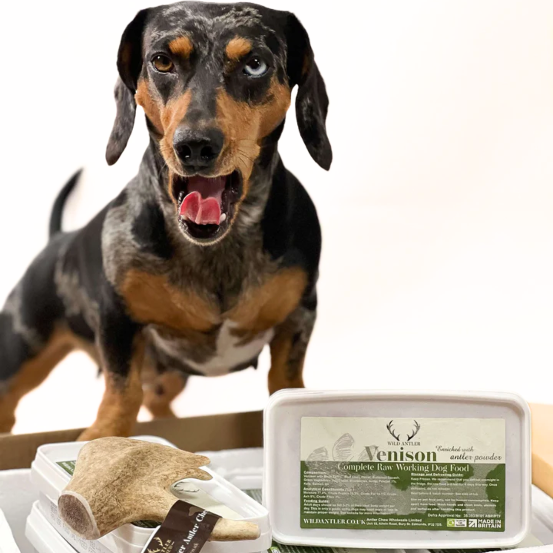  Venison raw dog food bundle with extra Fallow Deer Antler . Complete formula meal for dogs 24 weeks+.  Taste the Wild in every bite!   - Antler Chew 