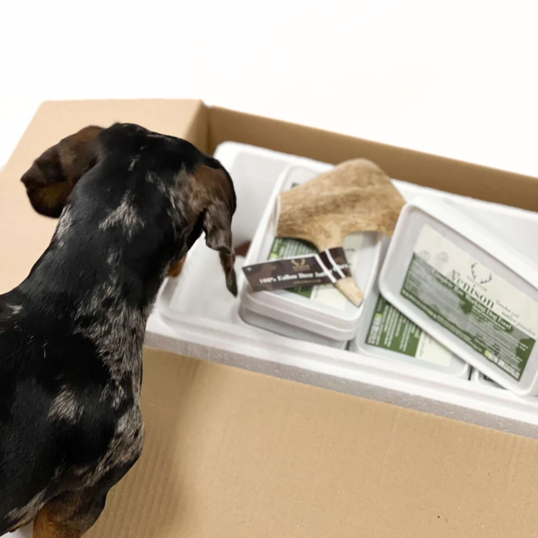  Venison raw dog food bundle with extra Fallow Deer Antler . Complete formula meal for dogs 24 weeks+.  Taste the Wild in every bite!   - Antler Chew 