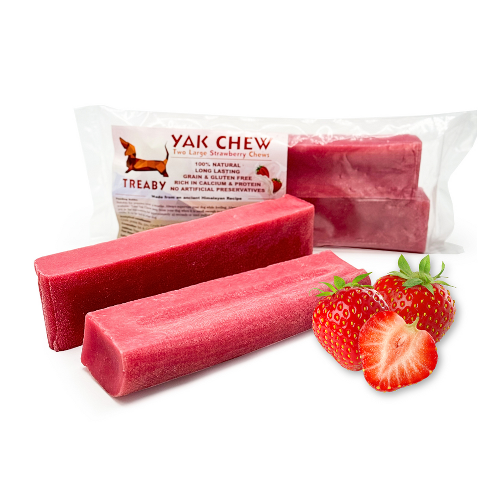 Indulge your dog with TREABY's Large Strawberry Yak Chew, a healthy and long-lasting treat made from natural cow and yak milk. Infused with real strawberries for added vitamins and antioxidants, these chews support dental hygiene while being rich in protein and calcium. Perfect for dogs 14 weeks and older.  - Antler Chew 