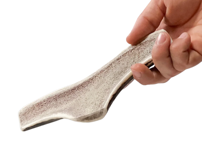 Antler Chew