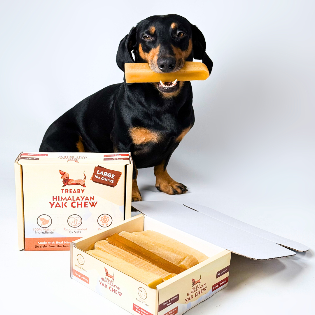 Himalayan Yak Chew, Long-lasting dog chews, Natural dog treats, Yak milk dog chews, Healthy dog chews, Safe dog chews for aggressive chewers, and Premium dog treats.  - Antler Chew 