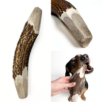BuckHorn Cut Antler Chew features two open ends for easy marrow access while maintaining durability. Perfect for picky chewers who need long-lasting engagement!  - Antler Chew 