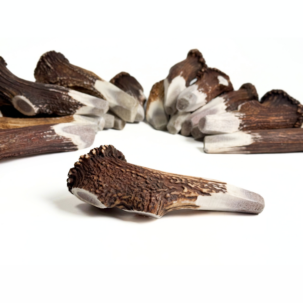 Introducing our unique BuckHorn Crown Cut Antler Chew—designed for durability with just enough exposed marrow for engagement. It includes the crown for extra strength, ensuring a long-lasting, natural chew for power chewers.  - Antler Chew 