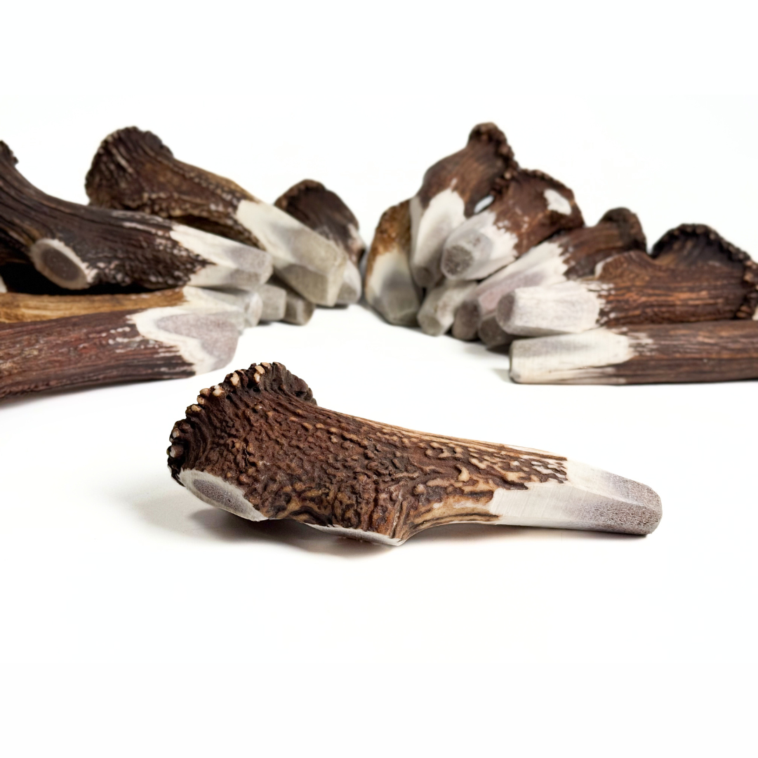 Introducing our unique BuckHorn Crown Cut Antler Chew—designed for durability with just enough exposed marrow for engagement. It includes the crown for extra strength, ensuring a long-lasting, natural chew for power chewers.  - Antler Chew 