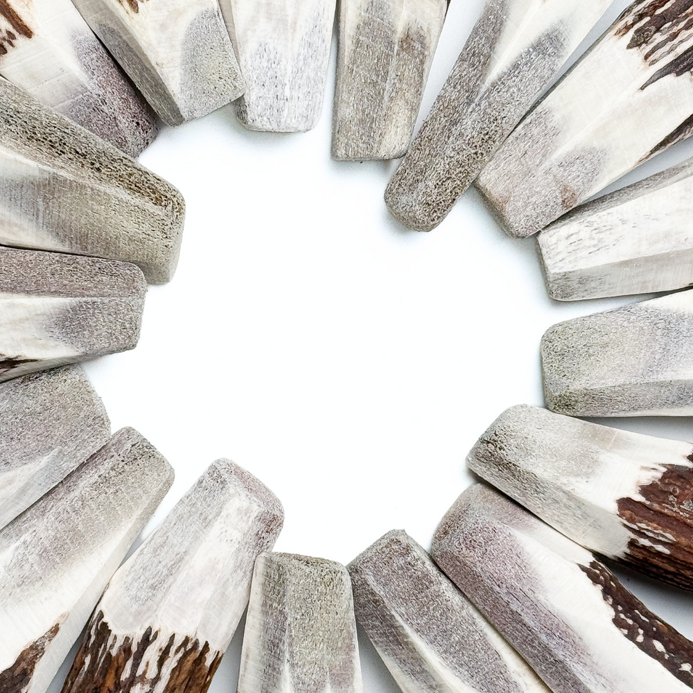 Introducing our unique BuckHorn Crown Cut Antler Chew—designed for durability with just enough exposed marrow for engagement. It includes the crown for extra strength, ensuring a long-lasting, natural chew for power chewers.  - Antler Chew 