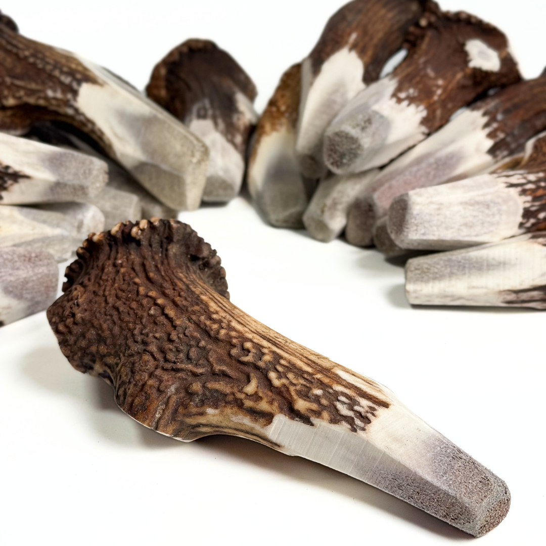 Introducing our unique BuckHorn Crown Cut Antler Chew—designed for durability with just enough exposed marrow for engagement. It includes the crown for extra strength, ensuring a long-lasting, natural chew for power chewers.  - Antler Chew 