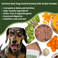 Delicious Venison raw dog food bundle with Fallow Deer Antler. Complete formula meal for dogs 24 weeks+. Chill & Safe DPD Delivery.  - Antler Chew 