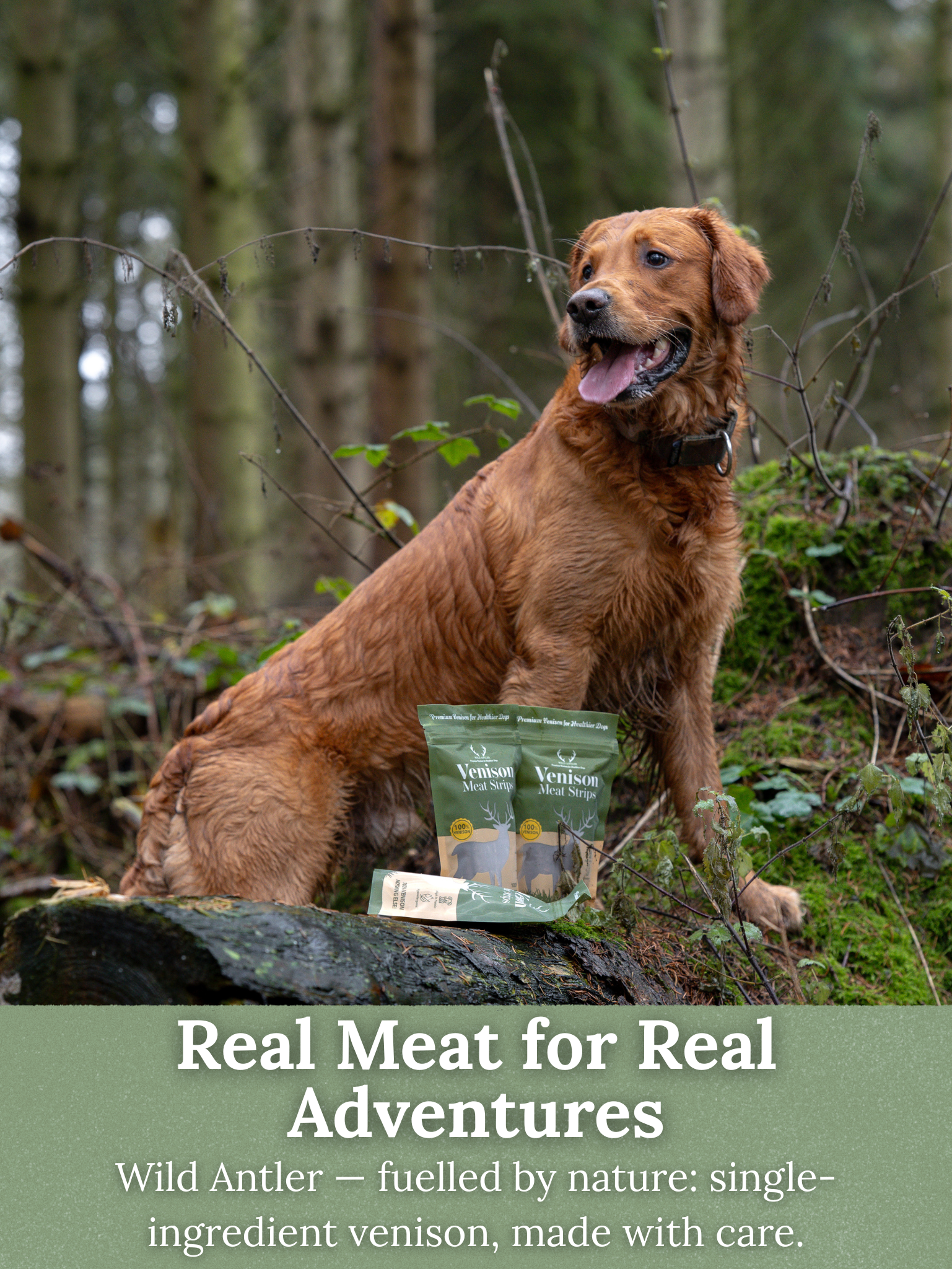   - Antler Chew 