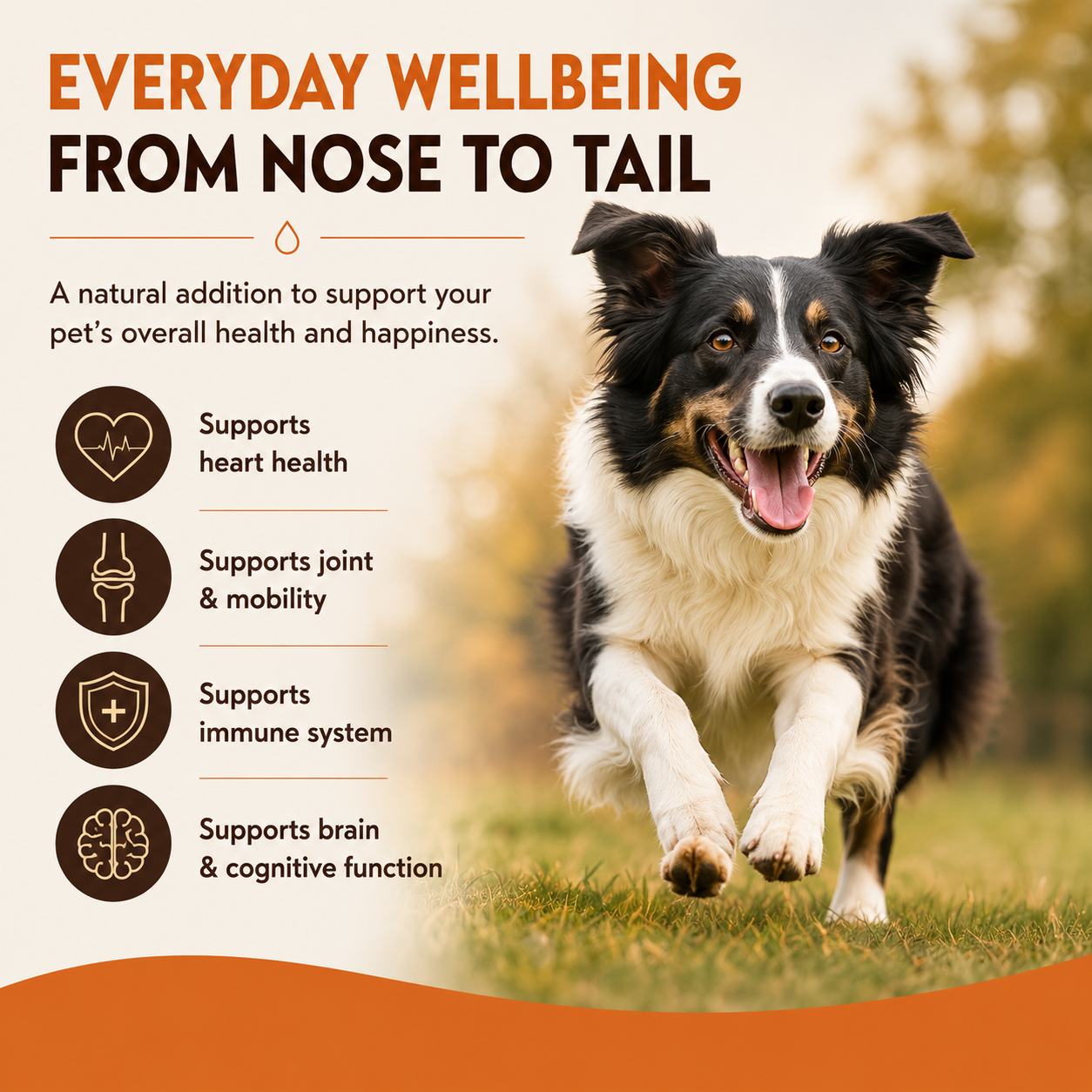 Cold-pressed Scottish salmon oil rich in Omega 3, 6 and 9. Supports healthy skin, a shiny coat, joints, mobility and everyday wellbeing.  - Antler Chew 