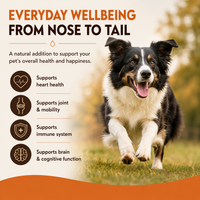 Cold-pressed Scottish salmon oil rich in Omega 3, 6 and 9. Supports healthy skin, a shiny coat, joints, mobility and everyday wellbeing.  - Antler Chew 