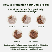 High-quality, grain-free complete wet dog food bundle x 6  with venison and boar. Made with human-grade ingredients and no artificial additives.  - Antler Chew 