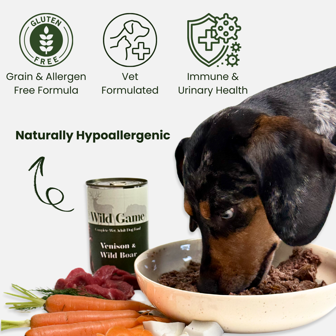 Wild game - Venison & Wild Boar grain-free complete wet dog food, 400g. High-protein, balanced nutrition for active dogs.  - Antler Chew 