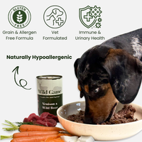 Wild game - Venison & Wild Boar grain-free complete wet dog food, 400g. High-protein, balanced nutrition for active dogs.  - Antler Chew 
