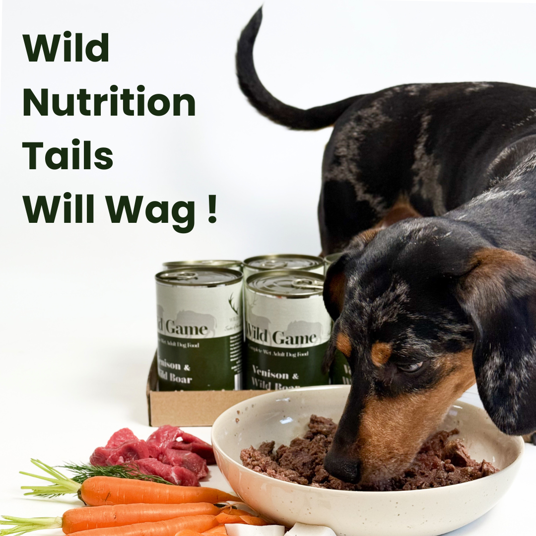 Wild game - Venison & Wild Boar grain-free complete wet dog food, 400g. High-protein, balanced nutrition for active dogs.  - Antler Chew 