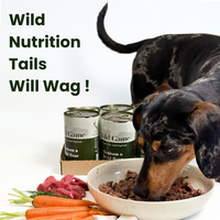 Wild game - Venison & Wild Boar grain-free complete wet dog food, 400g. High-protein, balanced nutrition for active dogs.  - Antler Chew 