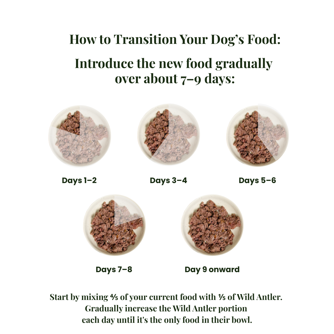 24 x Venison & Boar-Grain Free Complete Wet Adult Dog Food