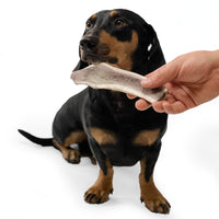 Natural Red Deer Split Antlers provide entertainment for non-power chewers. Puppy friendly from 12 weeks. Full of minerals and protein.  - Antler Chew 