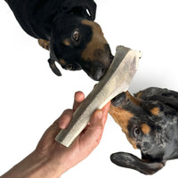 Natural Red Deer Split Antlers provide entertainment for non-power chewers. Puppy friendly from 12 weeks. Full of minerals and protein.  - Antler Chew 