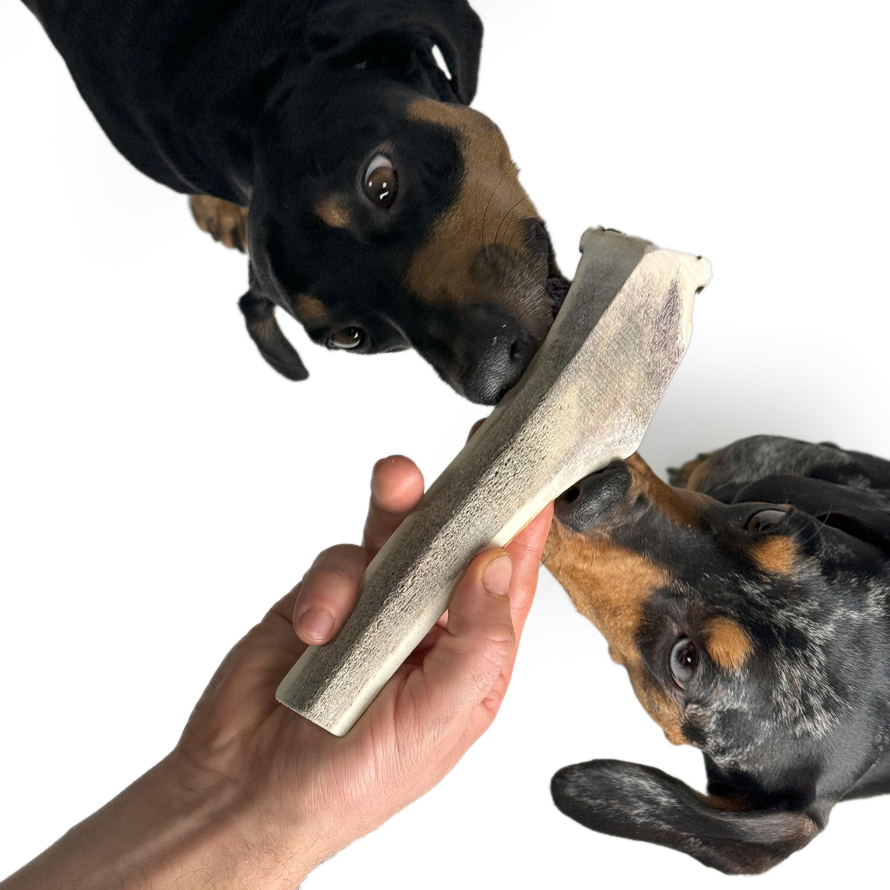 Natural Red Deer Split Antlers provide entertainment for non-power chewers. Puppy friendly from 12 weeks. Full of minerals and protein.  - Antler Chew 