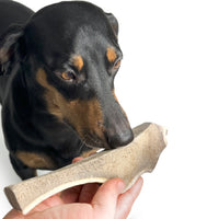 Natural Red Deer Split Antlers provide entertainment for non-power chewers. Puppy friendly from 12 weeks. Full of minerals and protein.  - Antler Chew 